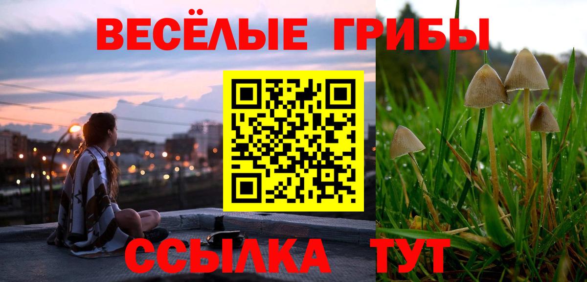 Щёкино  Псилоцибиновые грибы MAGIC MUSHROOMS  Псилоцибиновые грибы Magic Shrooms  Вход с VPN 
