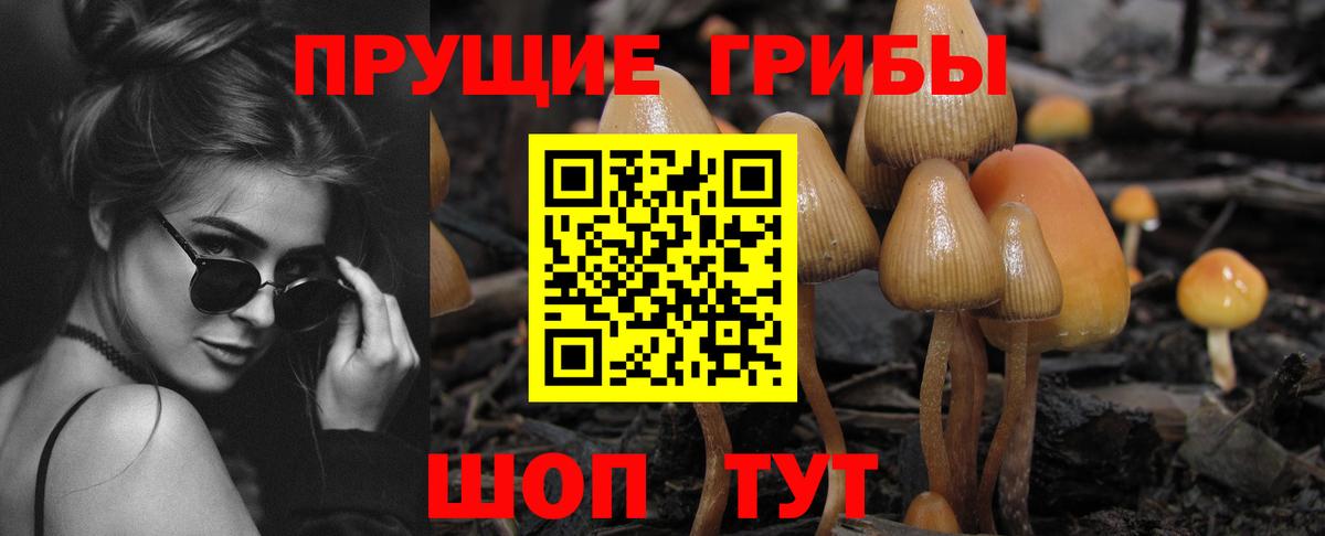 Галлюциногенные грибы прущие грибы Щёкино